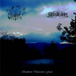 Write To Forget : Sourthen Depressive Facts